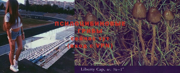 каннабис Балахна