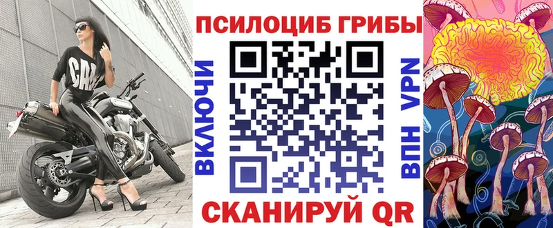 купить закладку  Волхов  Галлюциногенные грибы прущие грибы 
